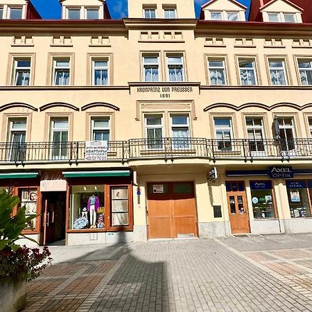 Apartment Erika Karlovy Vary Dış mekan fotoğraf