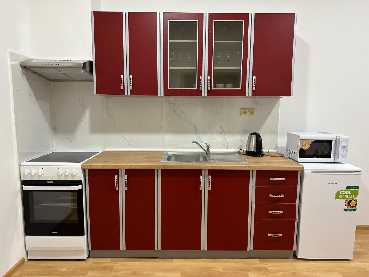 Apartment Erika Karlovy Vary Dış mekan fotoğraf