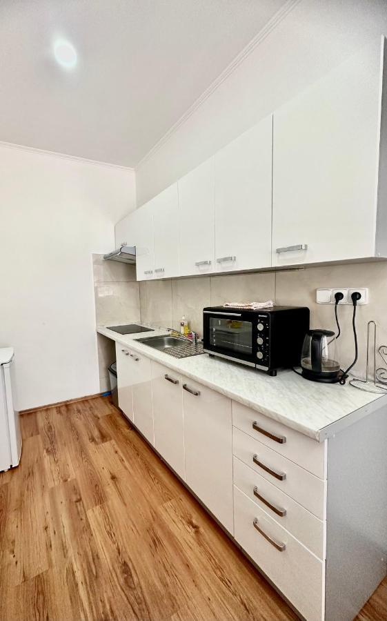 Apartment Erika Karlovy Vary Dış mekan fotoğraf