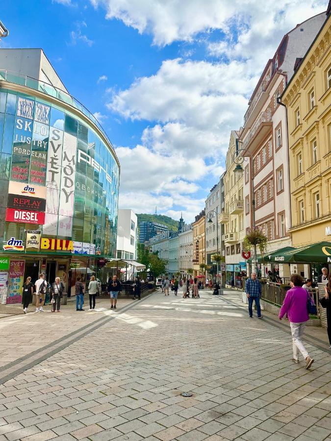 Apartment Erika Karlovy Vary Dış mekan fotoğraf