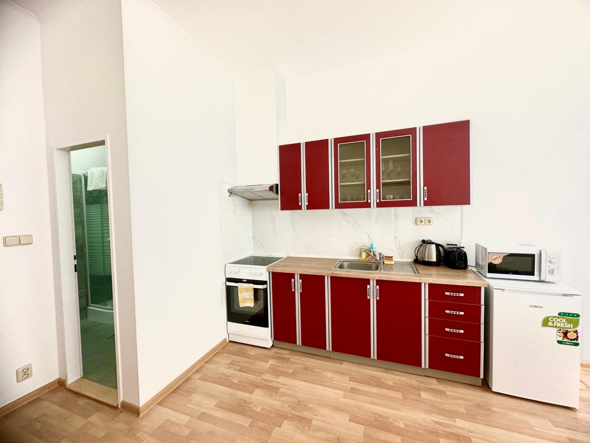 Apartment Erika Karlovy Vary Oda fotoğraf